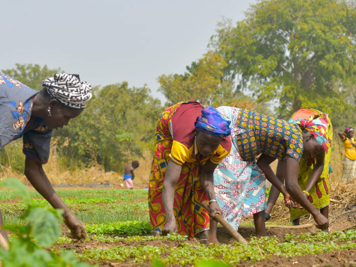 Women working on their farm