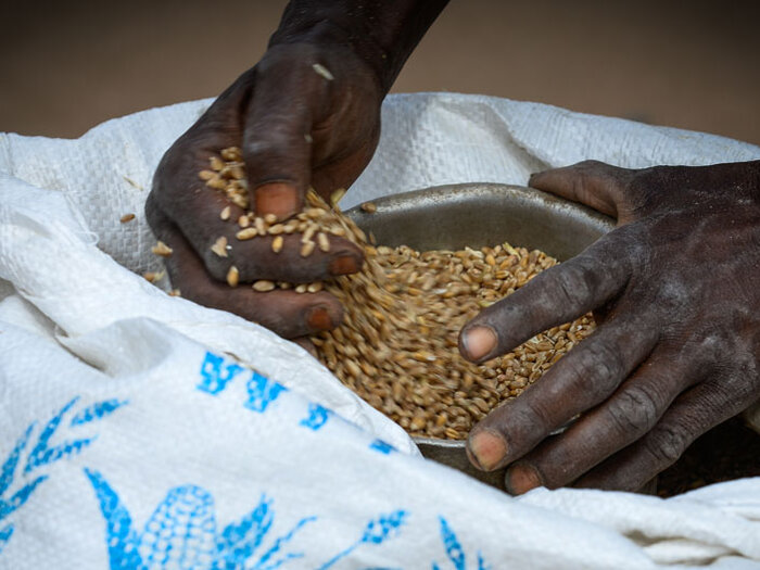 hands taking food from WFP bag