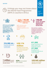 9 things you may not know about the World Food Programme (WFP) in southern Africa