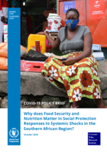 COVID-19 Policy Brief: Why does Food Security and Nutrition Matter in Social Protection Responses to Systemic Shocks in the Southern African Region? - October 2020