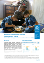 Benefits of mixed modality assistance for food security in Syria