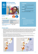Situation Report - Mozambique